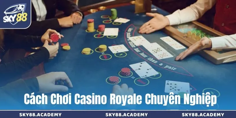 Cách chơi Casino Royale chuyên nghiệp tại sòng bạc online