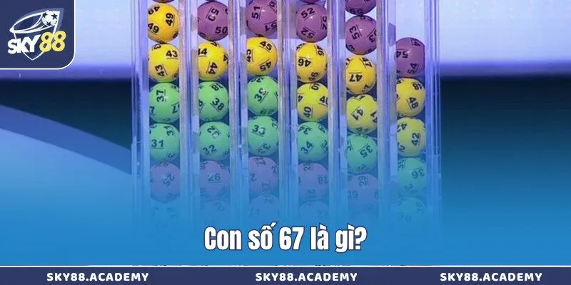 Con số 67 là gì?