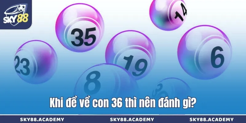 Khi đề về con 36 thì nên đánh gì?