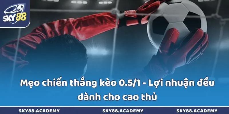 Mẹo chiến thắng kèo 0.5/1 - Lợi nhuận đều dành cho cao thủ