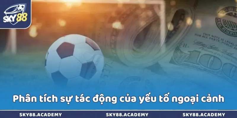 Phân tích sự tác động của yếu tố ngoại cảnh