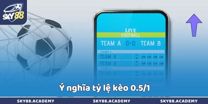 Ý nghĩa tỷ lệ kèo 0.5/1  